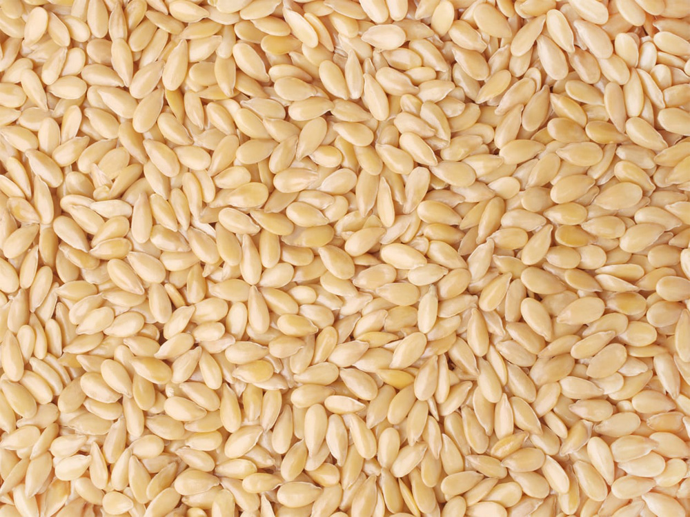 sesame seeds